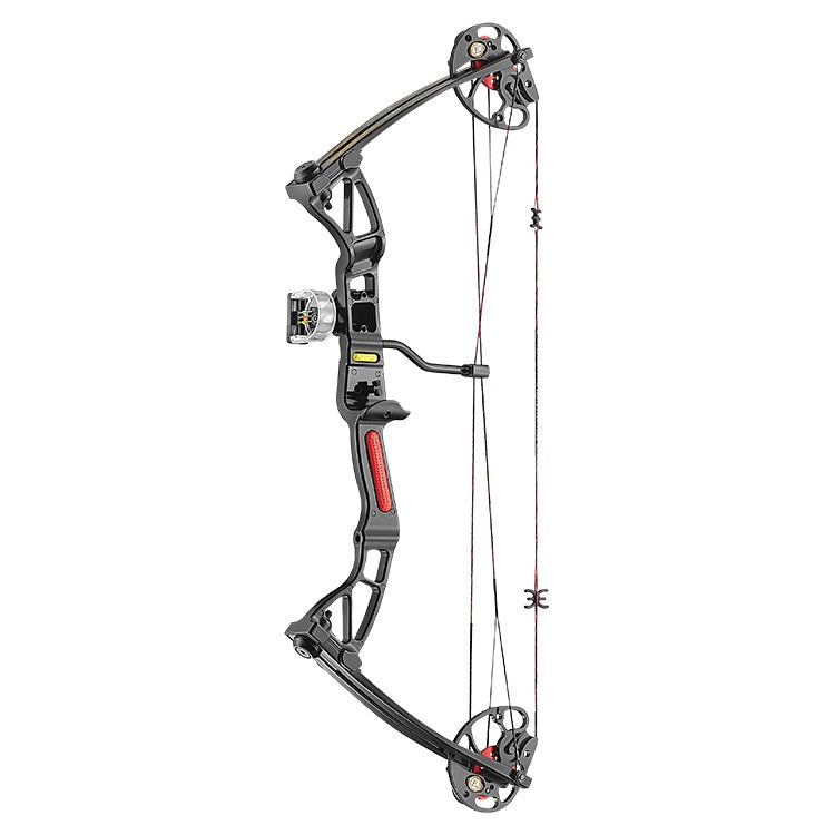 Arco Poleas Rex negro 28