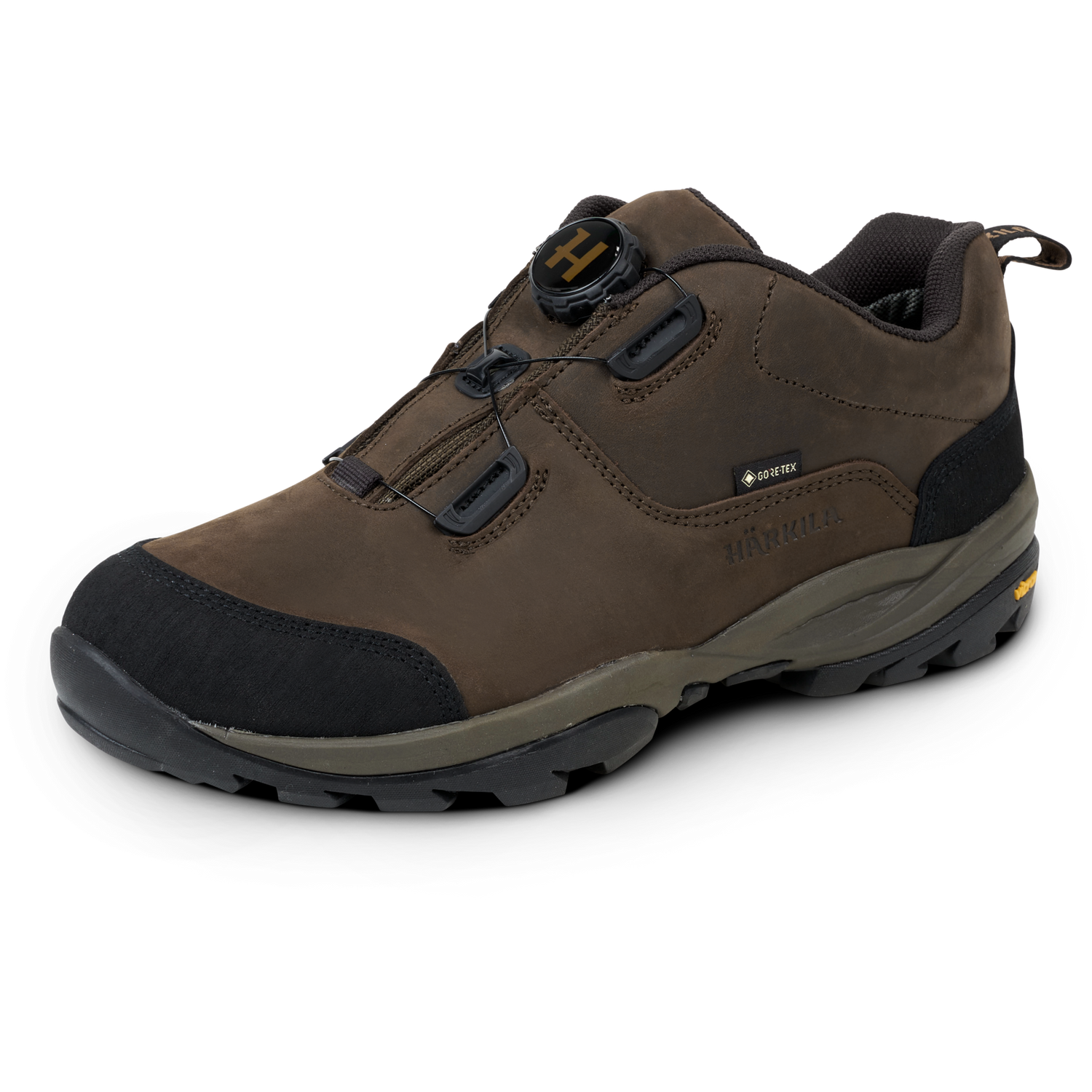 Zapato HÄRKILA Reidmar low GTX