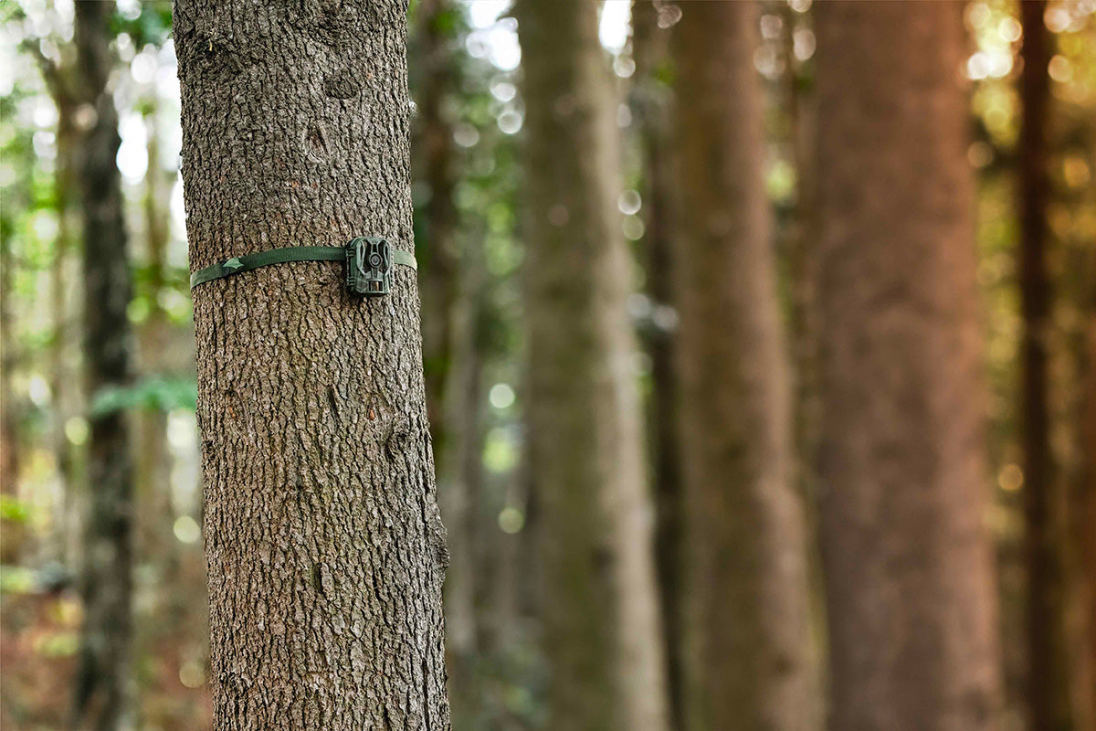 Cámara de fototrampeo Wild Guardian Midland