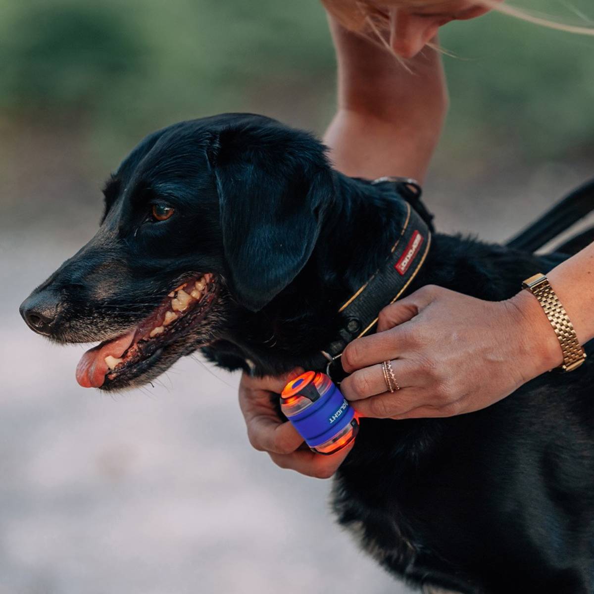 Kit Luz LED de seguridad Gober 2 Olight