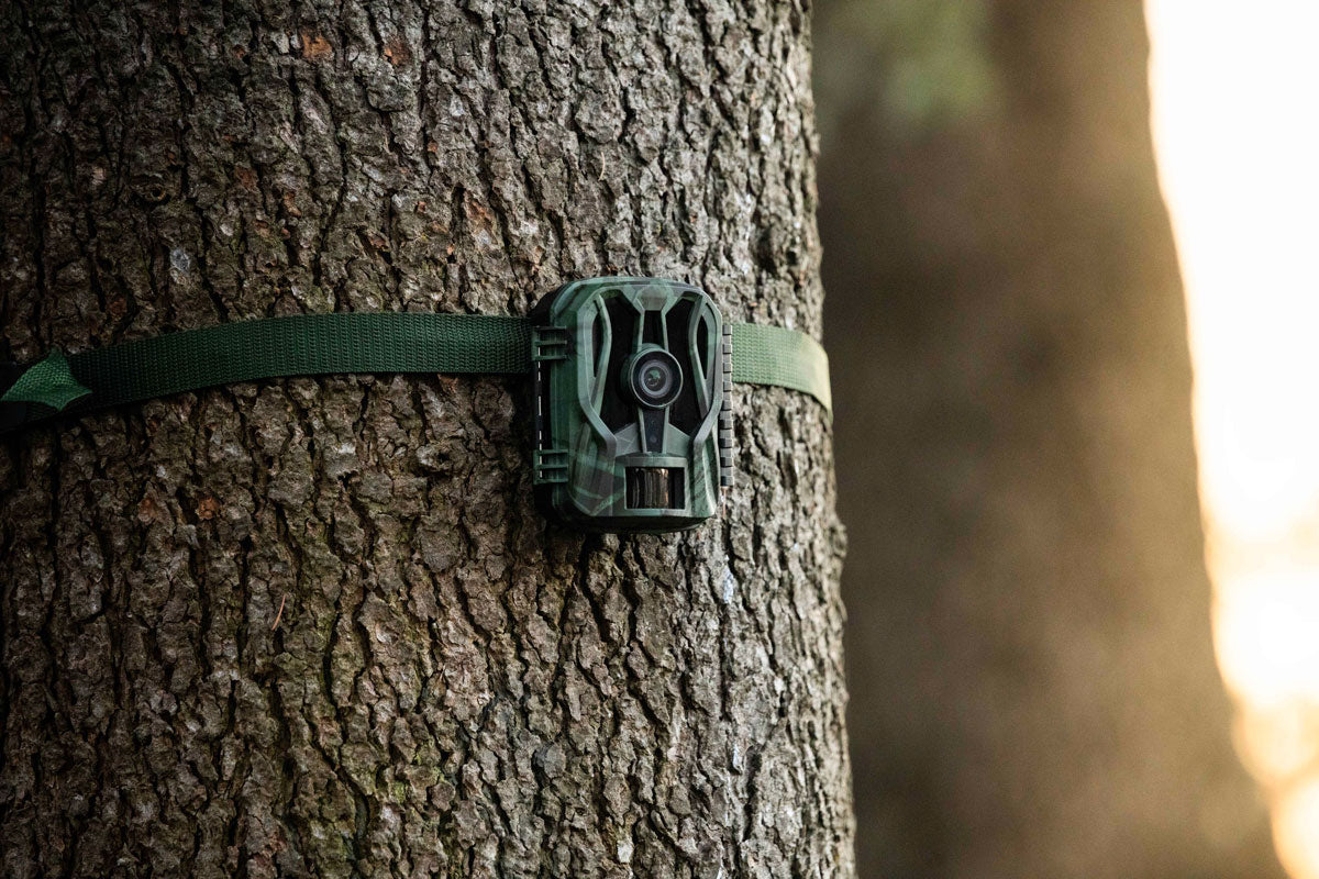 Cámara de fototrampeo Wild Guardian Midland