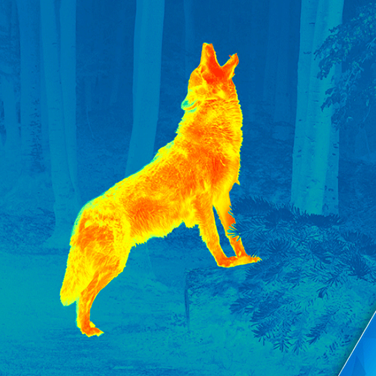 Monocular térmico Pulsar Telos XP50 LRF